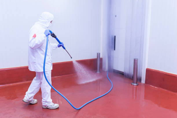 Best Driveway Cleaning and Restoration in East Bethel, MN