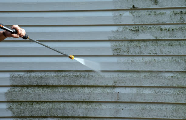 Best Fence Cleaning and Maintenance in East Bethel, MN
