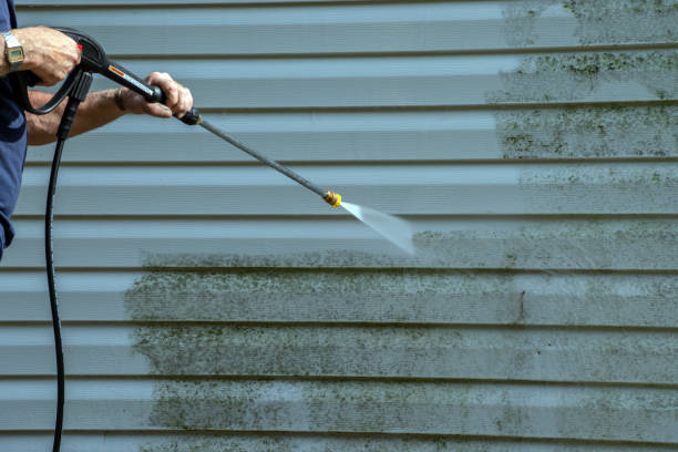 Best Window and Screen Pressure Cleaning in East Bethel, MN